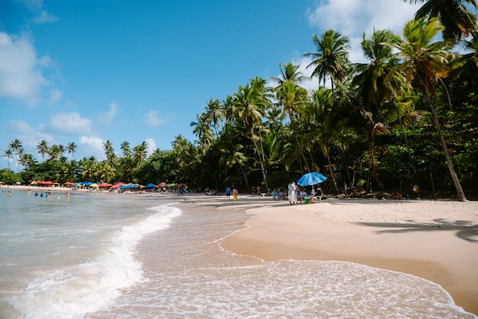 Boipeba : l'île paradisiaque de la Bahia brésilienne