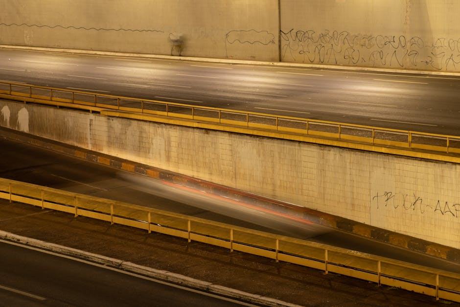 Brasilia capitale du Bresil : Niemeyer et urbanisme moderne