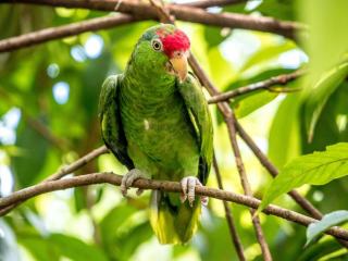 Ilha Grande Bresil : randonnée et plages sauvages sur l'île