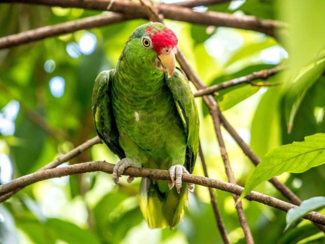 Ilha grande : guide road trip et itinéraire