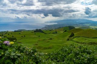 Faial aux Açores : l'île bleue des hortensias et des marins